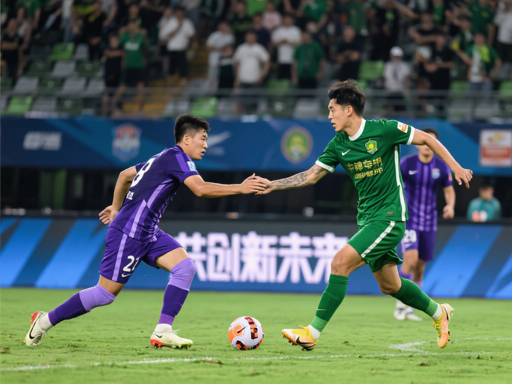 对方提供的 对方提供的