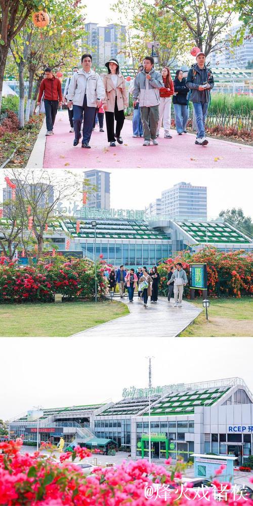 广网球员走进南沙明珠农业公园 打卡都市农业实验园 广网球员走进南沙明珠农业公园 打卡都市农业实验园