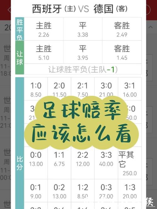 世界杯下注与赔率:如何合理分配 世界杯下注与赔率:如何合理分配